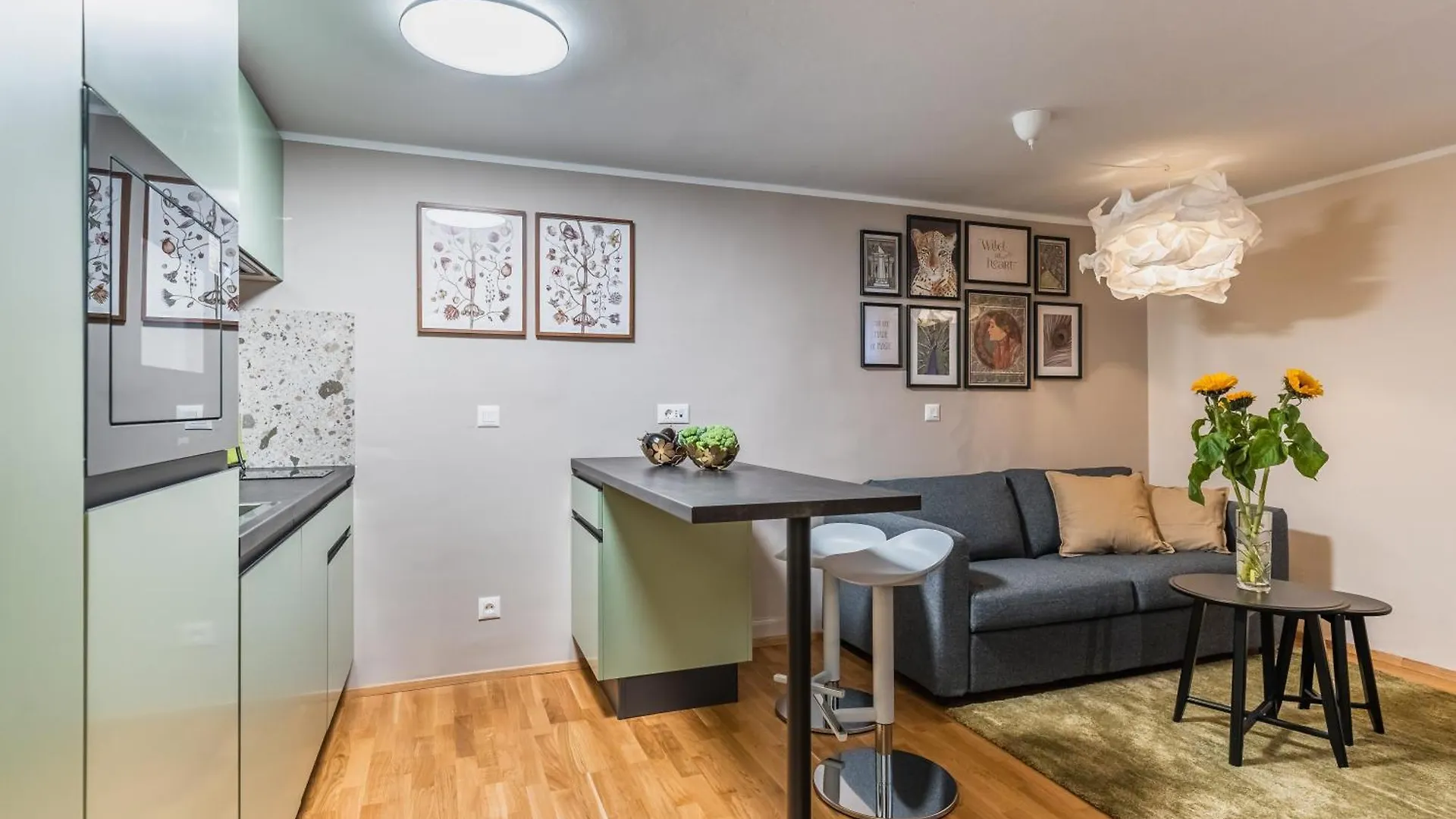 Vila Valentina Lubiana Appartamento